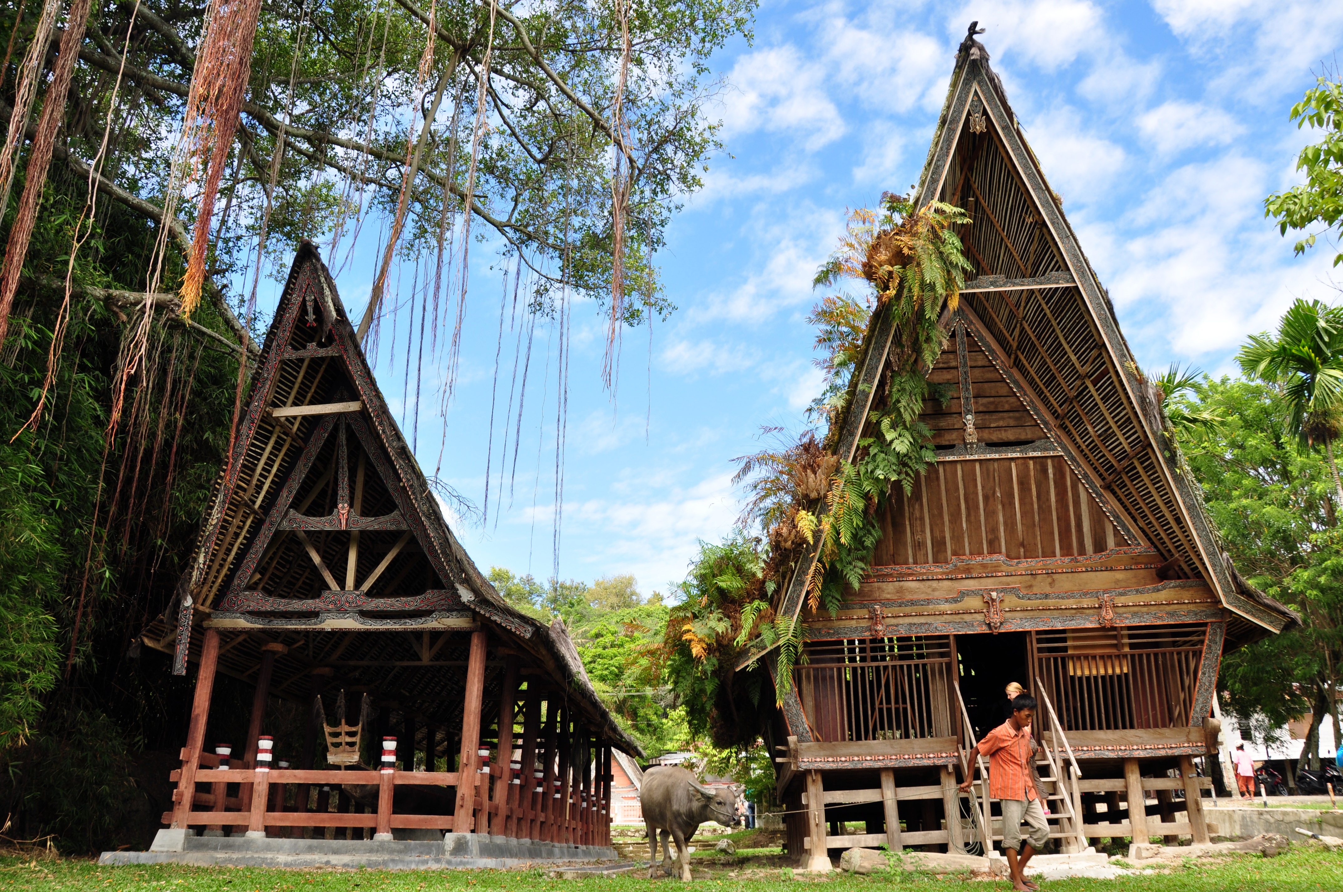 Сказочные домики народа батаки (Индонезия)